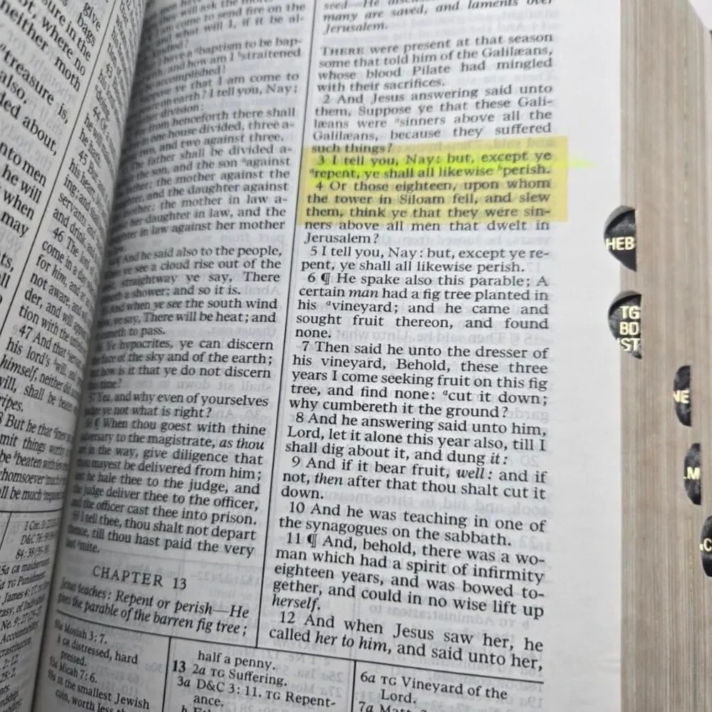 LDS Quad Holy Bible, Book of Mormon, Doctrine & Covenant, Pearl of Great Price